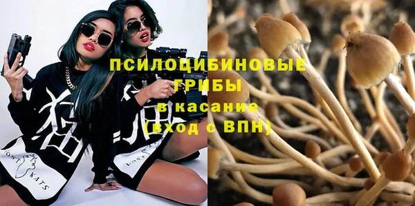 амф Белокуриха