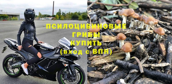эйфоретик Баксан