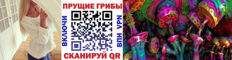 Купить где  Воскресенск  Галлюциногенные грибы Psilocybine cubensis 
